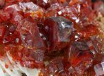 Lustrous Red Vanadinite Crystals on Barite - Morocco #45692-2
